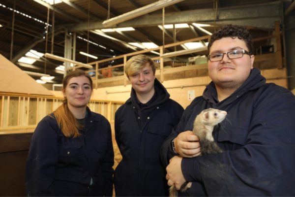 A picture of three students, where one of the students is holding an otter.