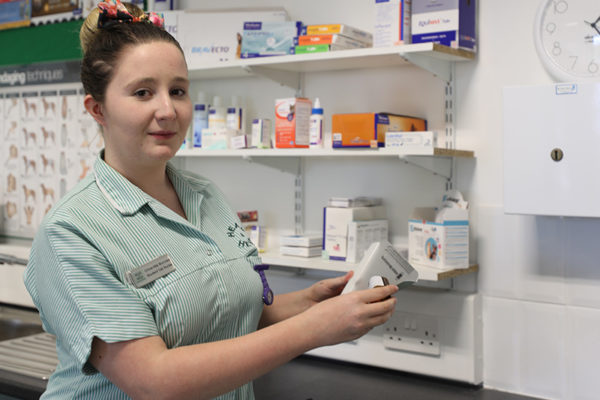 Advance Veterinary Nursing Diploma