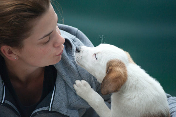 Veterinary Receptionist Course