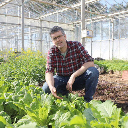 Rosewarne Nursery
